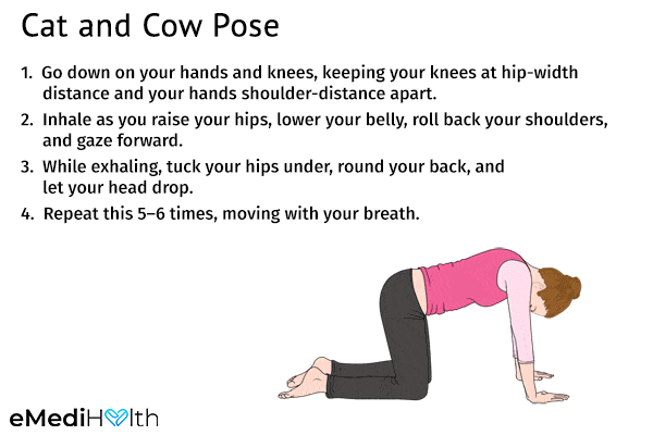 cat and cow pose can help reduce fatigue