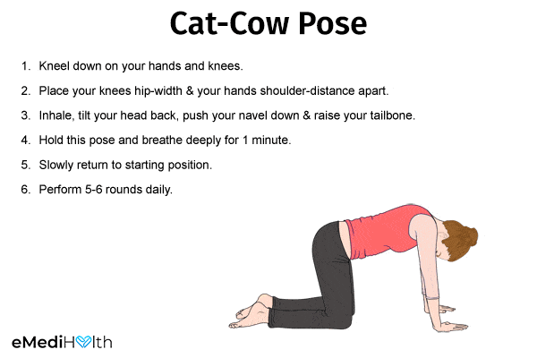 cat and cow pose for improving digestion