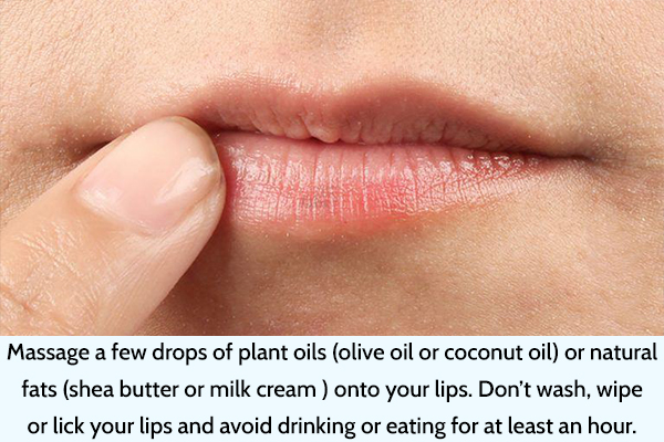 apply plant oils or natural fats on the lips