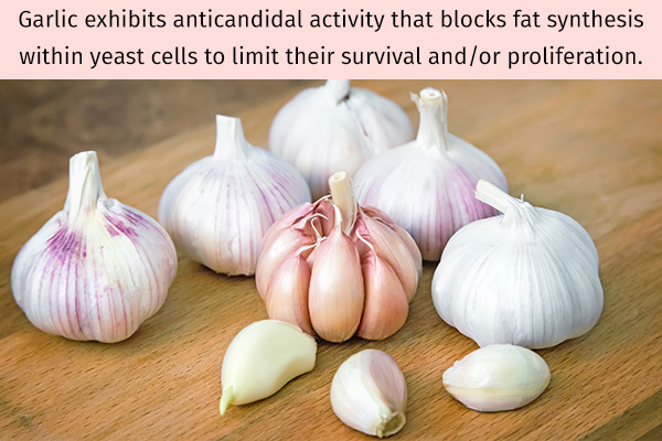 garlic exhibits anticandidal properties
