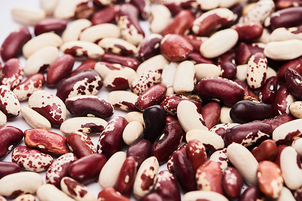 beans contain folate which can help manage hypotension