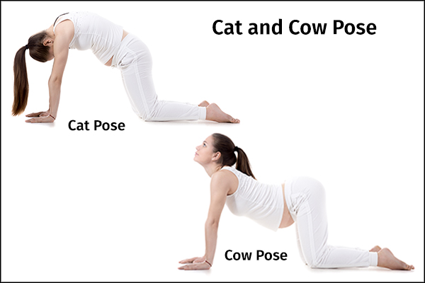 cat and cow pose