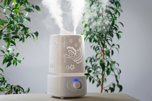 use a humidifier in winters for avoiding eczema