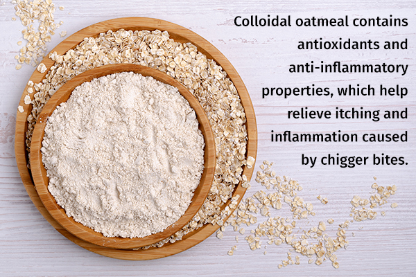 colloidal oatmeal can help manage chigger bites