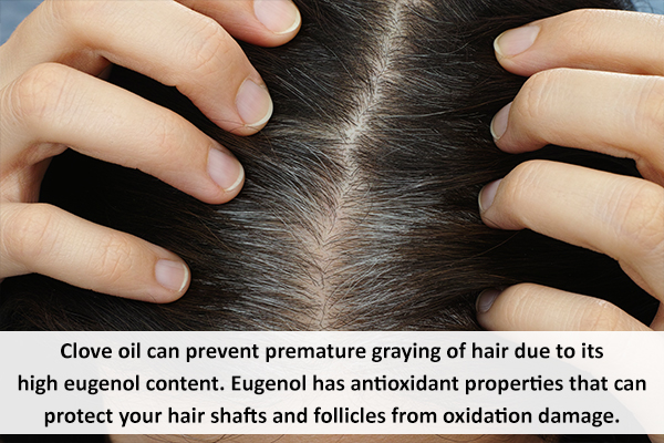 clove oil usage can help prevent premature graying of hair