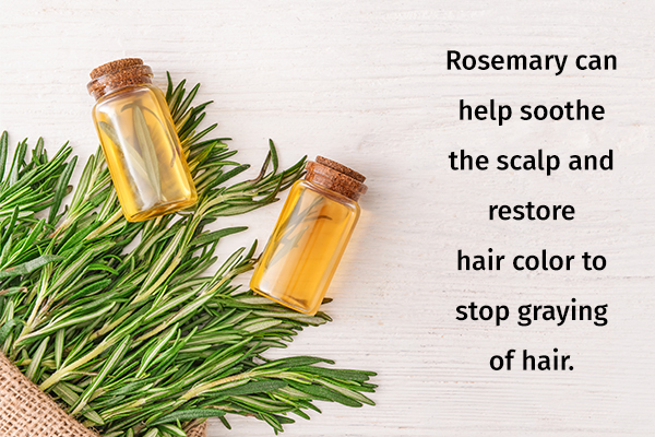 rosemary usage can help prevent hair loss and graying of hair 