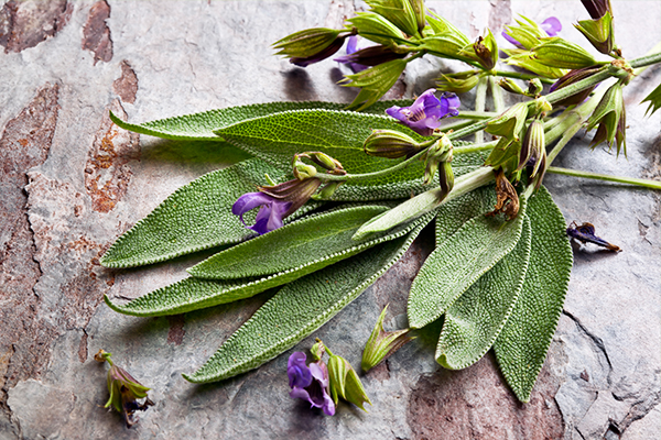 sage can make your hair stronger and thicker