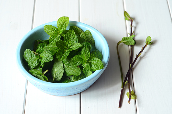 peppermint usage has a positive effect on brain health