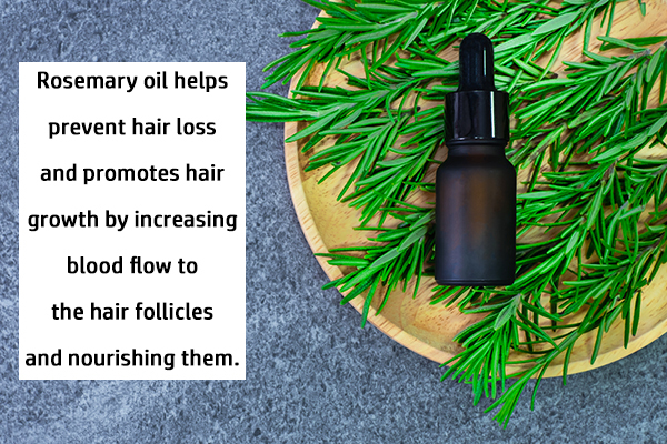 efficacy of rosemary oil in preventing hair loss and boosting hair growth