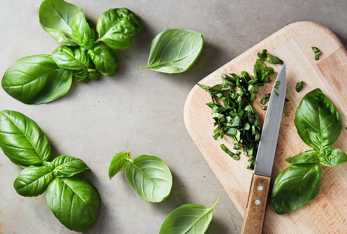 basil health benefits