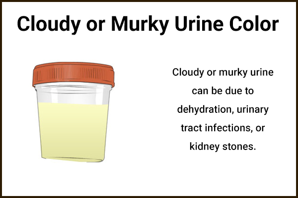 what ailments can cloudy or murky urine color indicate?