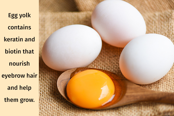 egg yolk can be used to nourish eyebrow hair and help them grow