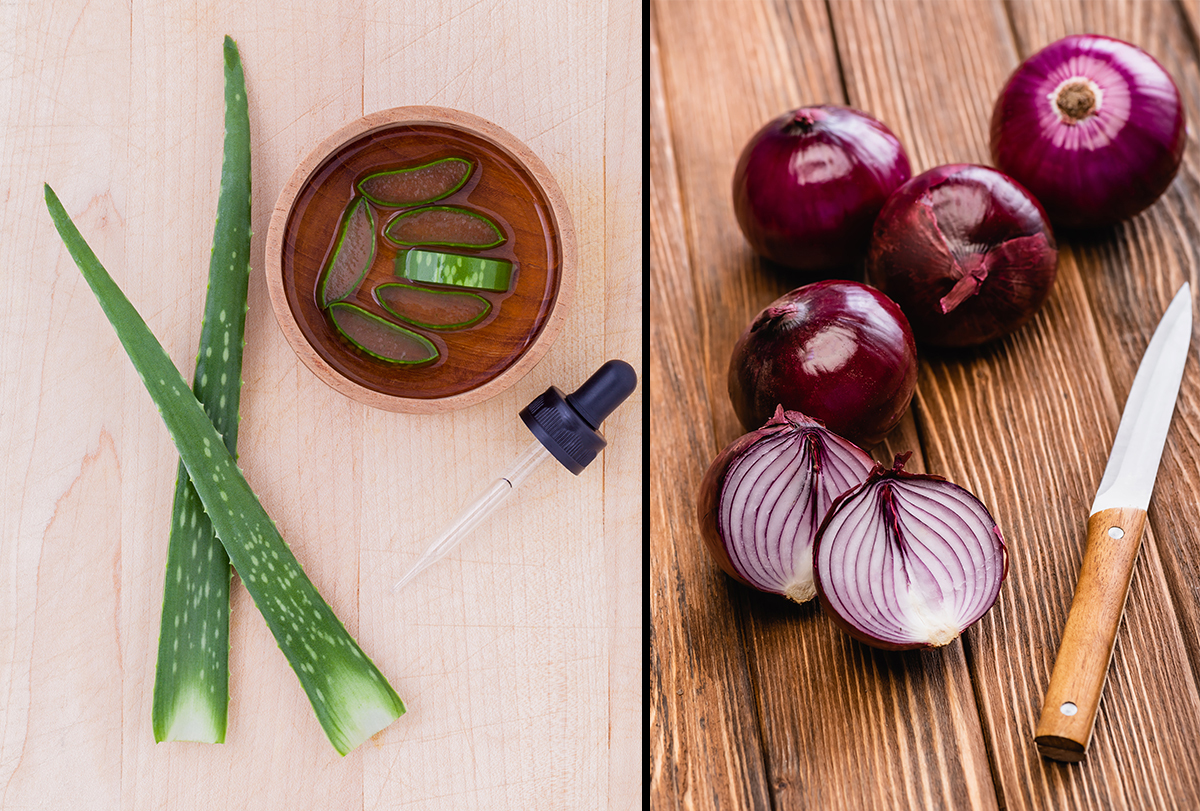 Onion & Aloe Vera for Hair Growth: Benefits & How to Use Them