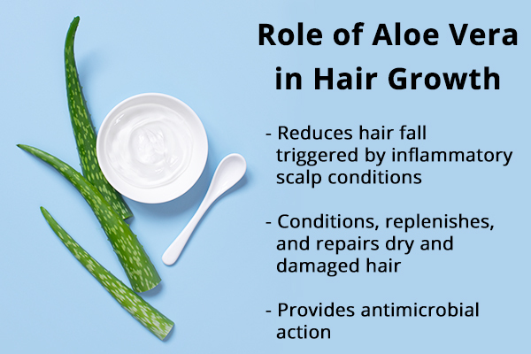significance of aloe vera for hair growth