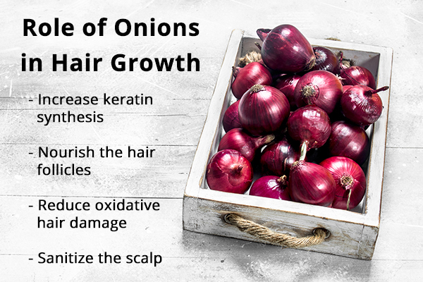 significance of onions in hair growth and health