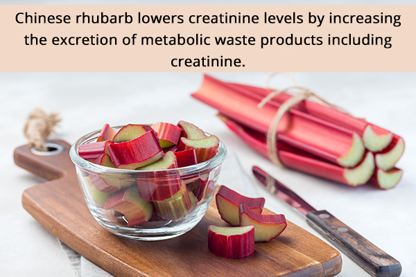 Chinese rhubarb can help lower creatinine levels