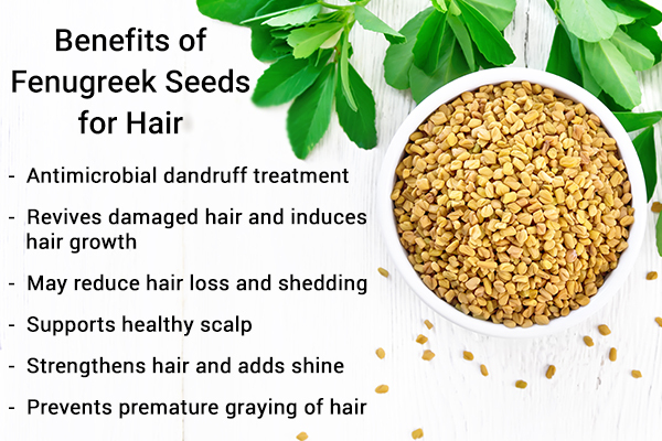 potential benefits of using fenugreek seeds for hair health