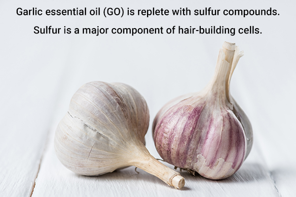 role of garlic in boosting hair growth and repair