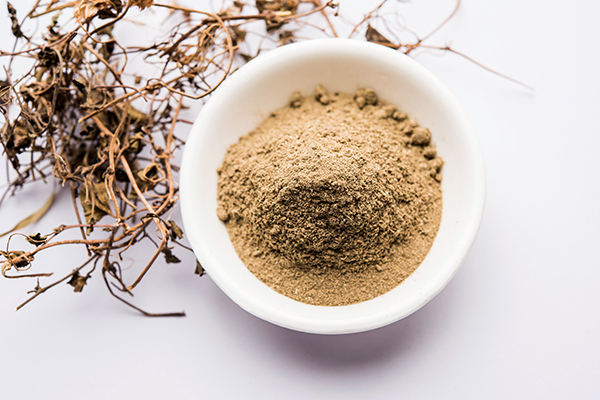 bhringraj is an ayurvedic herb beneficial for hair care