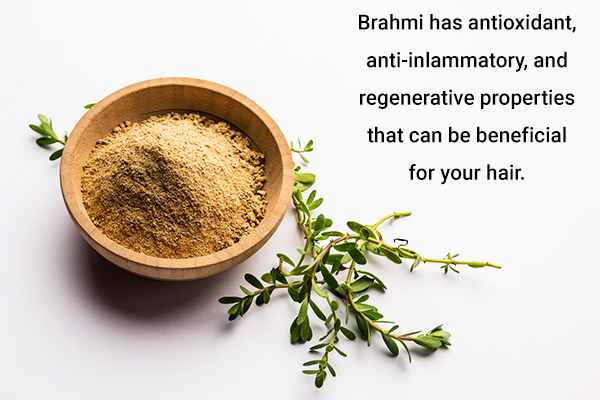 brahmi is an ayurvedic herb beneficial for hair health