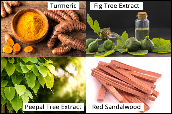turmeric, fig tree extract, peepal extract, etc. can help soothe rashes