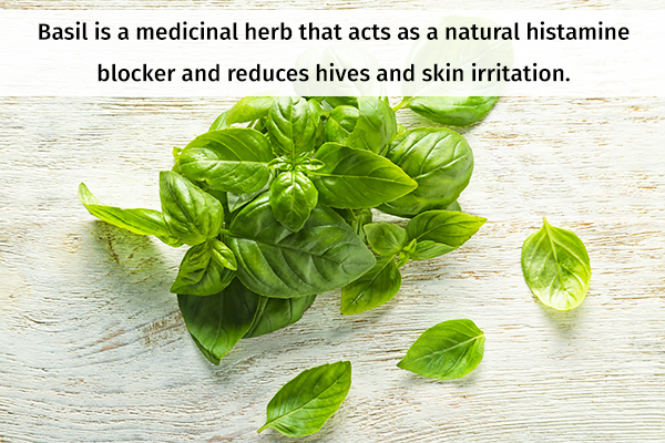 basil usage can help relieve hives symptoms