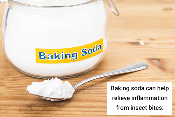 efficacy of baking soda in treating insect bites