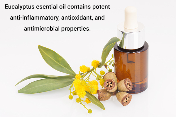 eucalyptus essential oil and associated health benefits