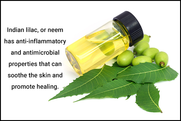 Indian lilac (neem) usage can be helpful for insect bites