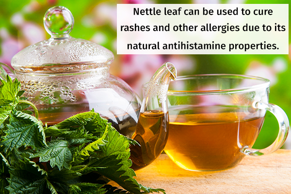 nettle leaves can help provide relief form hives