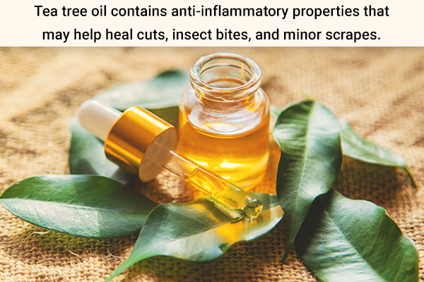 tea tree oil usage can assist in wound healing