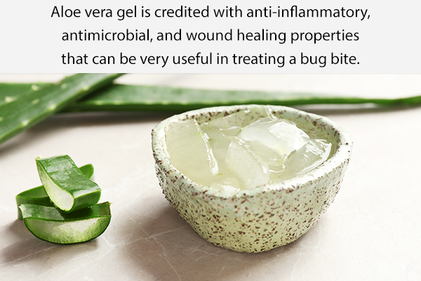apply aloe vera gel to aid in relief from bedbug bites