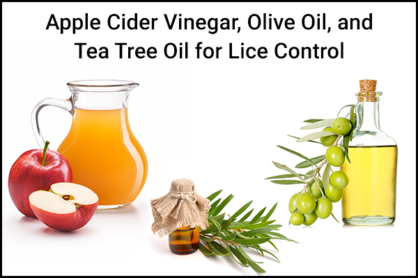 apple cider vinegar and olive oil can help manage head lice