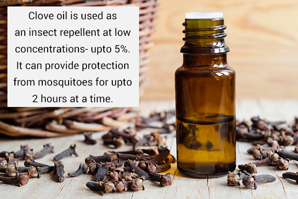 clove oil usage can help provide protection against mosquitoes