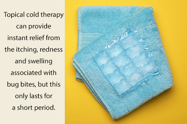 apply an ice pack to provide relief from bedbug bites