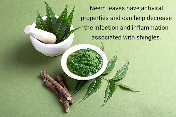 neem leaves usage can help manage shingles