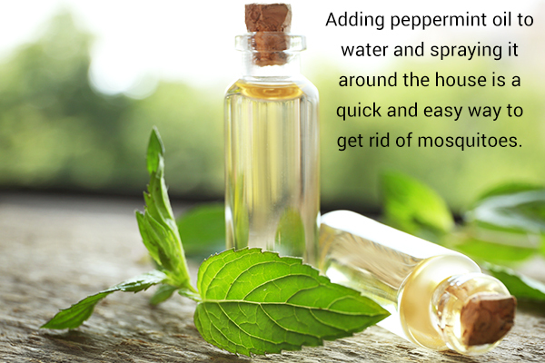 peppermint oil works as a natural mosquito repellent