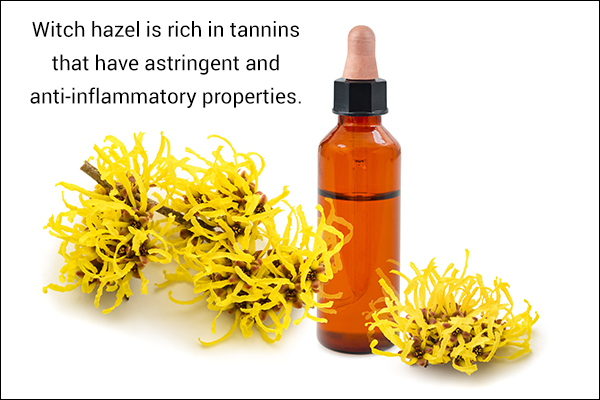 use witch hazel to aid in relief from poison ivy rashes