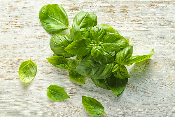 basil can also be used to control high blood pressure