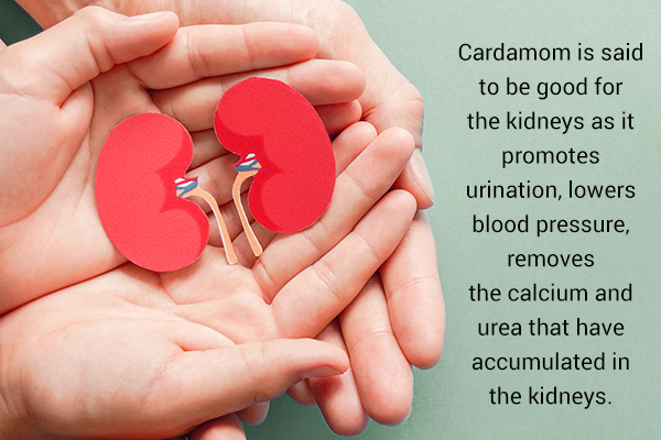 cardamom is beneficial for kidney health as well