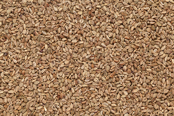 carom seeds usage can help manage hypertension
