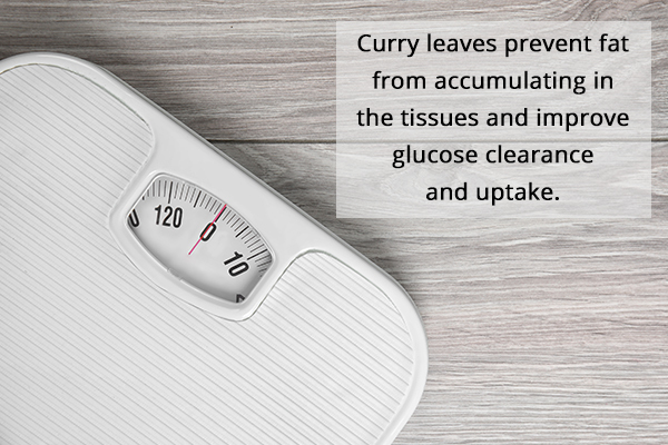 curry leaves usage can assist you in your weight loss journey