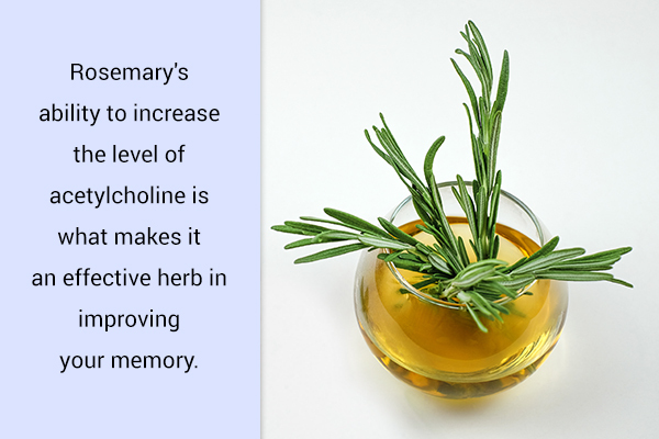 drink rosemary tea to help boost your memory and brain health