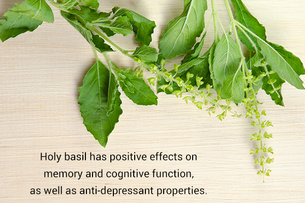 holy basil consumption can lead to better brain function and memory