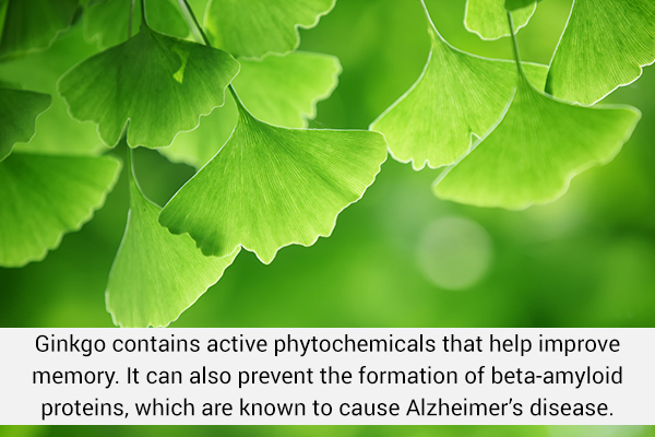 include ginkgo biloba in your diet to improve brain health and memory