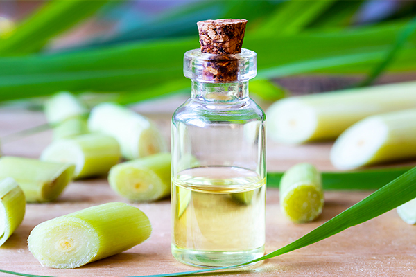 lemongrass oil can be helpful in treating fungal skin infections