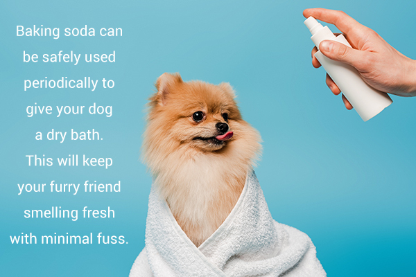baking soda can also be used as a dog deodorizer 
