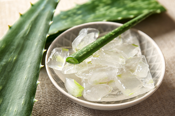 massage your gums using aloe vera gel to manage receding gums