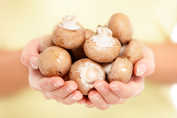 eating mushrooms can help fight against common cold