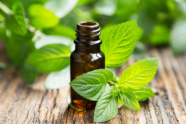 peppermint essential oil can help soothe sunburns